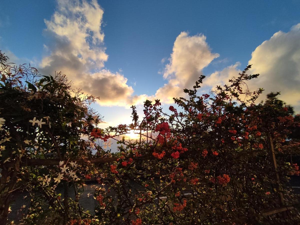 Casa Roberta Villa Monte de Brena Dış mekan fotoğraf