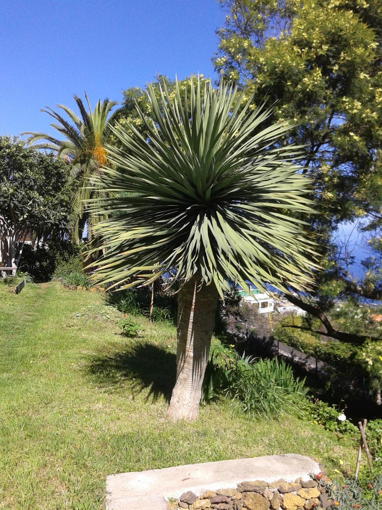Casa Roberta Villa Monte de Brena Dış mekan fotoğraf