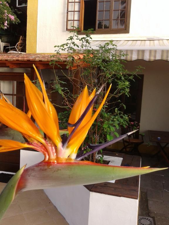 Casa Roberta Villa Monte de Brena Dış mekan fotoğraf