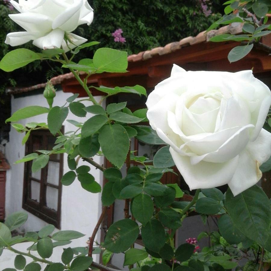 Casa Roberta Villa Monte de Brena Dış mekan fotoğraf